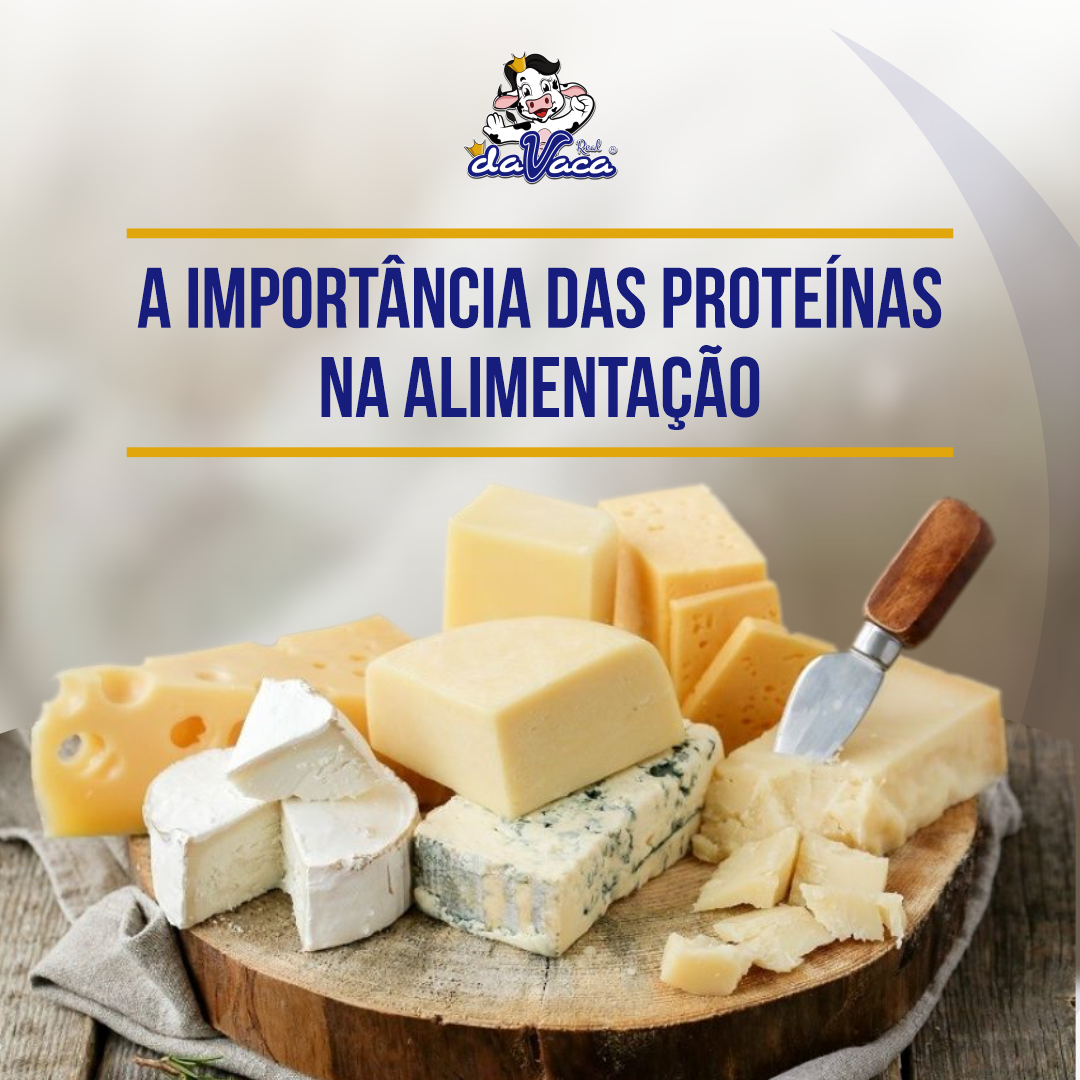 A IMPORTÂNCIA DAS PROTEÍNAS NA ALIMENTAÇÃO